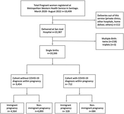 Immigration and C-sections incidence: Maternal care and perinatal outcomes in the context of the pandemic in Chile